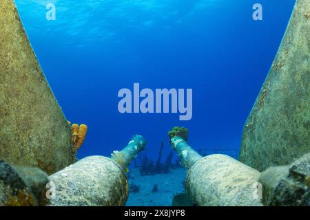 Stern fusils de l'épave de la frégate russe Captain Keith Tibbetts à Cayman Brac. Ce qui était autrefois une arme abrite maintenant des poissons de récif Banque D'Images