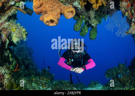 Une jeune femme plongeuse explore un canyon dans un récif tropical des Caraïbes. Caractéristiques topographiques relativement communes aux îles Caïmans Banque D'Images