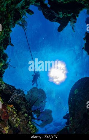 Plongeur descend sur une ligne de la surface vers le bas à l'habitat marin du récif corallien tropical des Caraïbes. boule de soleil en arrière-plan montre la direction vers le haut Banque D'Images