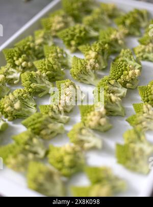 Brocoli romanesco frais sur plateau disposé en rangée Banque D'Images