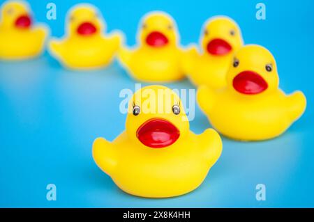 Gros plan du canard en caoutchouc menant d'autres canards en caoutchouc. Concept de leadership et de followers Banque D'Images