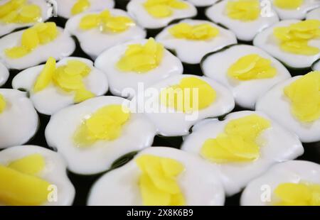 Rangées de Khanom Tako, délicieux pudding thaïlandais à deux couches de lait de noix de coco et tapioca Banque D'Images