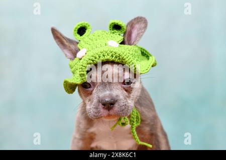 Mignon jeune lilas Brindle chiot bouledogue français avec bonnet grenouille tricoté Banque D'Images