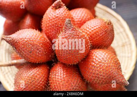 Gros plan de Salak mûr frais ou de fruits à la peau de serpent (Salacca Zalacca) Banque D'Images