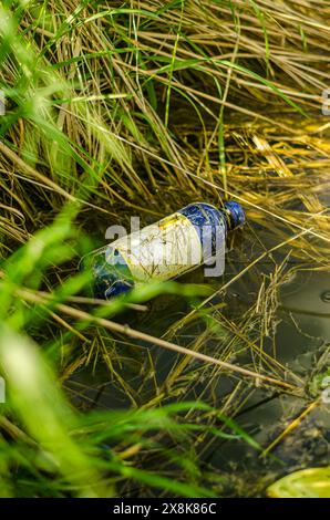 Vieille bouteille en verre flotte dans l'eau de marais ou tourbière. Bouteille vide usagée laissée dans l'eau. Photo de haute qualité Banque D'Images