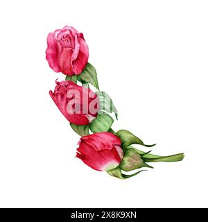 Composition de roses rouges. Motif fleuri. Boutons de rose sur les tiges. Illustration d'aquarelle dessinée à la main isolée sur fond blanc pour la Saint-Valentin Banque D'Images