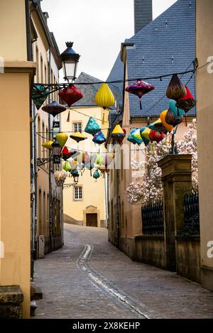 Lanternes et arbre Magnolia en fleurs dans Rue du St esprit, Luxembourg, Banque D'Images