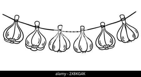 Bulbes d'ail séchés suspendus à une ficelle, croquis de doodle noir et blanc. Ensemble d'illustration clip art vectoriel. Illustration de Vecteur