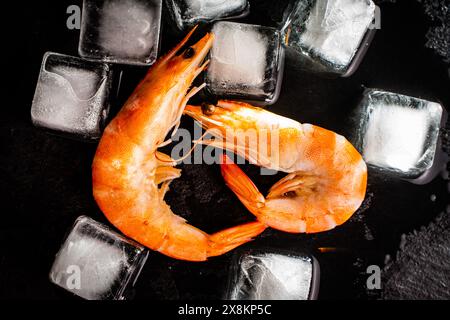 Crevettes royales sur un fond noir avec des glaçons. Gros plan photo haute qualité Banque D'Images