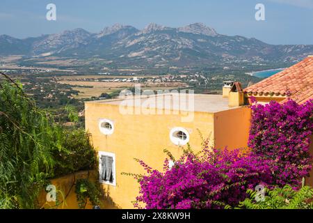 Lumio, haute-Corse, Corse, France. Maison de village colorée ornée de bougainvilliers, plaine côtière derrière le golfe de Calvi au-delà. Banque D'Images