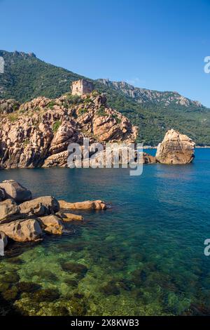 Porto, Corse-du-Sud, Corse, France. Vue sur la paisible crique jusqu'à la tour de guet génoise du XVIe siècle au sommet du promontoire rocheux. Banque D'Images