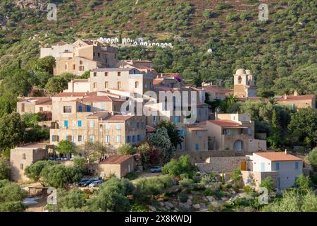 Pigna, haute-Corse, Corse, France. Groupe de maisons de village perchées sur une colline escarpée au milieu d'une forêt verdoyante. Banque D'Images