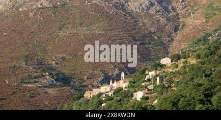 Nessa, haute-Corse, Corse, France. Vue panoramique sur le village au coucher du soleil, clocher de l'église Saint-Joseph proéminent. Banque D'Images