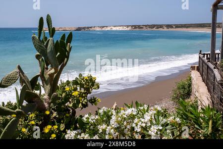 Vue depuis le restaurant Lara près de la baie de Lara, Akamas, quartier Paphos, République de Chypre Banque D'Images