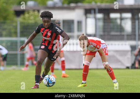 Aschheim, Allemagne. 26 mai 2024. Aschheim, Allemagne, 26 mai 2024 : Emily Wallrabenstein (4 Eintracht Frankfurt II) pendant le 2. Frauen-Bundesliga match entre le FC Bayern Munich II et l'Eintracht Frankfurt II au Sportpark Aschheim, Allemagne. (Sven Beyrich/SPP) crédit : photo de presse sportive SPP. /Alamy Live News Banque D'Images