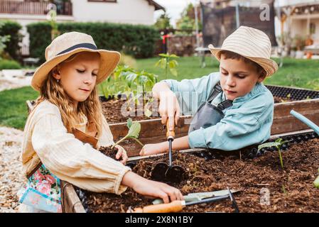 Fille et garçon prenant soin de petites plantes de légumes dans un lit surélevé, tenant une petite pelle. Enfance en plein air dans le jardin. Banque D'Images