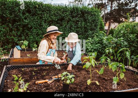 Fille et garçon prenant soin de petites plantes de légumes dans un lit surélevé, tenant une petite pelle. Enfance en plein air dans le jardin. Banque D'Images