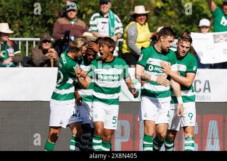 Les joueurs du Sporting CP célèbrent après le but marqué par Jeremiah parfaitement juste lors du match final du TACA de Portugal 2024 entre le FC Porto et le Sporting CP ( Banque D'Images