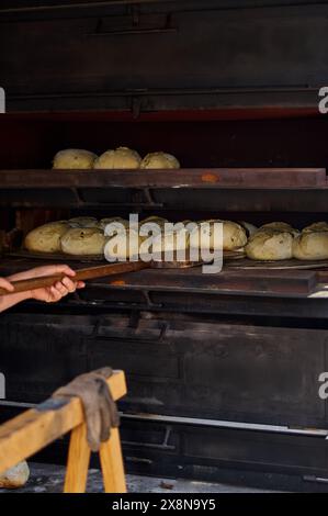 Image de pain artisanal avec des graines cuites dans un four industriel. Banque D'Images