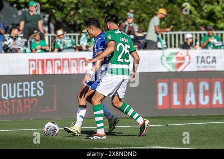 Oeiras, Portugal . 26 mai 2024. Oeiras, Portugal, 26 mai 2024 : Evanilson (30 FC Porto) et Goncalo Inacio (25 Sporting CP) en action lors de la finale de Taça de Portugal entre FC Porto contre Sporting CP à l'Estadio Nacional do Jamor, Oeiras, Portugal (João Bravo /SPP) crédit : SPP Sport Press photo. /Alamy Live News Banque D'Images