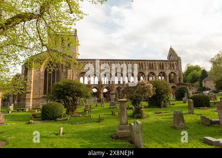 Cette abbaye en ruines, fondée au XIIe siècle par David Ier, se trouve dans la ville écossaise de Jedburgh dans les frontières. C'est l'une des quatre abbayes frontalières. Banque D'Images