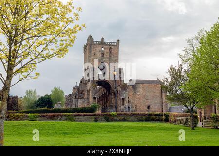 Cette abbaye en ruines, fondée au XIIe siècle par David Ier, se trouve dans la ville écossaise de Jedburgh dans les frontières. C'est l'une des quatre abbayes frontalières. Banque D'Images