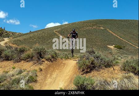 26 mai 2024 : un cycliste prend les airs au sprint final du 40 Mile Big Bad de la course d'endurance Growler Mountain Bike. HartmanÃs Rocks Recreation Area, Gunnison, Colorado. (Crédit image : © Larry Clouse/CSM/Cal Sport Media) Banque D'Images