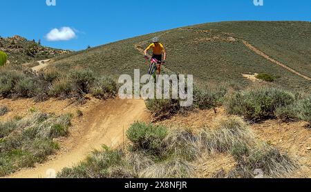 26 mai 2024 : un cycliste prend les airs au sprint final du 40 Mile Big Bad de la course d'endurance Growler Mountain Bike. HartmanÕs Rocks Recreation Area, Gunnison, Colorado. Banque D'Images