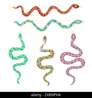 Ensemble de serpents avec divers motifs. Éléments de conception vectorielle isolés sur fond blanc. Illustration de Vecteur