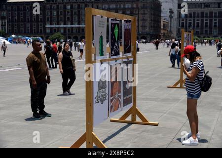 Mexico, Mexique. 26 mai 2024. Une femme regarde l'exposition des noms des personnes disparues brodés sur du tissu, dans le cadre de la manifestation pour les parents disparus au Mexique appelée "broderie à tous" devant le Palais National sur la place principale. Le 26 mai 2023 à Mexico, Mexique. (Photo de Luis Barron/Eyepix Group/Sipa USA) crédit : Sipa USA/Alamy Live News Banque D'Images