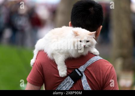 Seattle, États-Unis. 26 mai 2024. Le 53e festival annuel de la vie folklorique jour trois au Seattle Center. L'événement apporte quatre jours complets de musique, d'art, de nourriture et de divertissement à Seattle. Crédit : James Anderson/Alamy Live News Banque D'Images