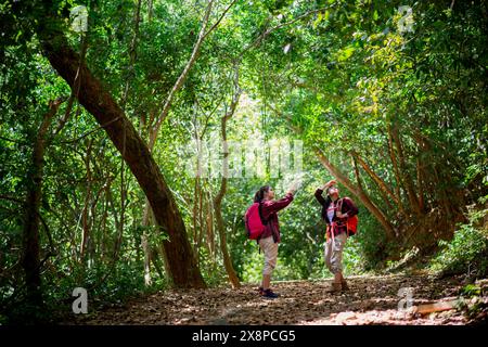 Deux randonneuses asiatiques marchent dans la forêt. Les randonneuses féminines regardent autour et ont pris des photos en marchant dans la forêt avec bonheur et joie pendant leur vie Banque D'Images