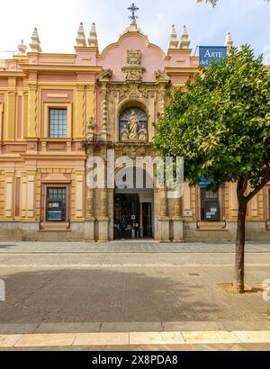 Façade principale du Musée des Beaux-Arts de Séville, Andalousie, Espagne Banque D'Images