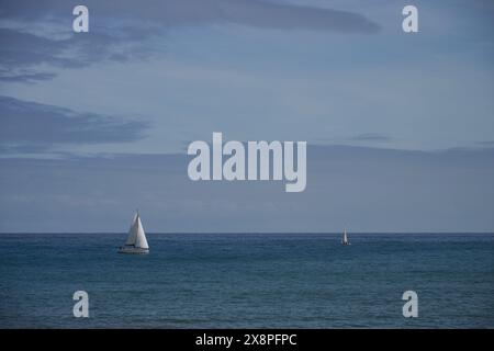 Voiliers naviguant dans une mer calme avec des voiles soufflant dans le vent Banque D'Images