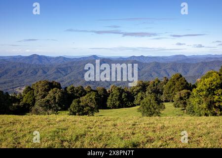 Dorrigo Mountain et Griffith regardent au-dessus de la forêt tropicale du Gondwana vers Nambucca Heads et d'autres chaînes de montagnes, Nouvelle-Galles du Sud, Australie Banque D'Images