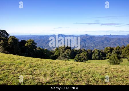 Dorrigo Mountain et Griffith regardent au-dessus de la forêt tropicale du Gondwana vers Nambucca Heads et d'autres chaînes de montagnes, Nouvelle-Galles du Sud, Australie Banque D'Images