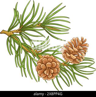 PIN Branch illustration détaillée colorée Illustration de Vecteur