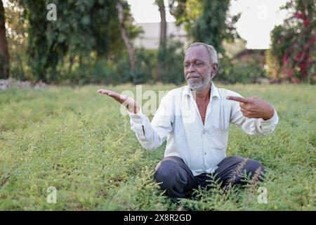 Fermier heureux indien dans une ferme de pois chiches Banque D'Images