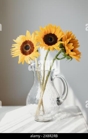 Trois tournesols dans un vase en verre clair, baignés de soleil Banque D'Images