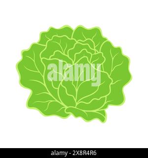 Laitue biologique verte fraîche, icône d'option de repas sain isolée. Illustration vectorielle Illustration de Vecteur