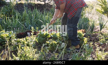 Gros plan d'un agriculteur cultivant le sol dans le jardin Banque D'Images