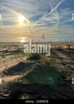 Dunes de sable sur la rive de la mer Baltique. Herbe marram (herbe de plage) poussant dans le sable. Paysage avec plage vue mer, dune de sable et herbe. Banque D'Images