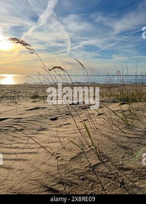 Dunes de sable sur la rive de la mer Baltique. Herbe marram (herbe de plage) poussant dans le sable. Paysage avec plage vue mer, dune de sable et herbe. Banque D'Images