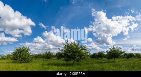 Panorama paysager d'un verger de prairie près de Brunnthal au sud de Munich. Banque D'Images