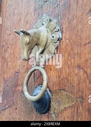 Heurtoir de porte de tête de cheval sur porte en bois. Barcelone, Catalogne, Espagne. Banque D'Images