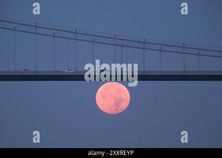 Pleine lune sur le pont du Bosphore la nuit. La pleine lune lumineuse domine le ciel. Parfait pour les thèmes liés à l'astronomie, phases lunaires. Banque D'Images