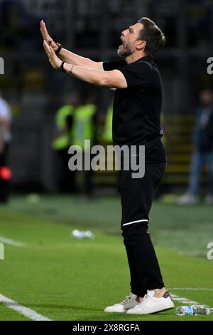 Eusebio Di Francesco, entraîneur de Frosinone, réagit lors du match de football de Serie A entre Frosinone Calcio et Udinese Calcio au stade Benito Stirpe de Frosinone (Italie), le 26 mai 2024. Banque D'Images