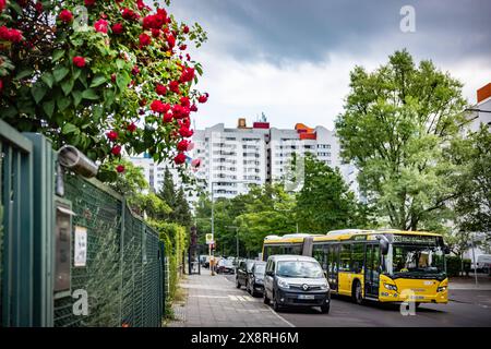 Berlin Reinickendorf OT Märkisches Viertel MV im Bereich Dannenwalder Weg - 27.05.2024 Berlin *** Berlin Reinickendorf OT Märkisches Viertel MV dans la région de Dannenwalder Weg 27 05 2024 Berlin Banque D'Images