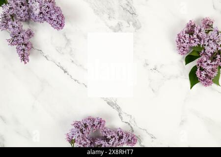 Vue de dessus de fleurs de lilas violettes sur fond de marbre blanc. Carte blanche, vide vierge. Fond d'écran de printemps, pose à plat, espace de copie. Banque D'Images