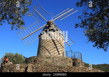 Ancien moulin à vent restauré dans la ville balnéaire méditerranéenne de Collioure dans le département des Pyrénées-Orientales, France Banque D'Images